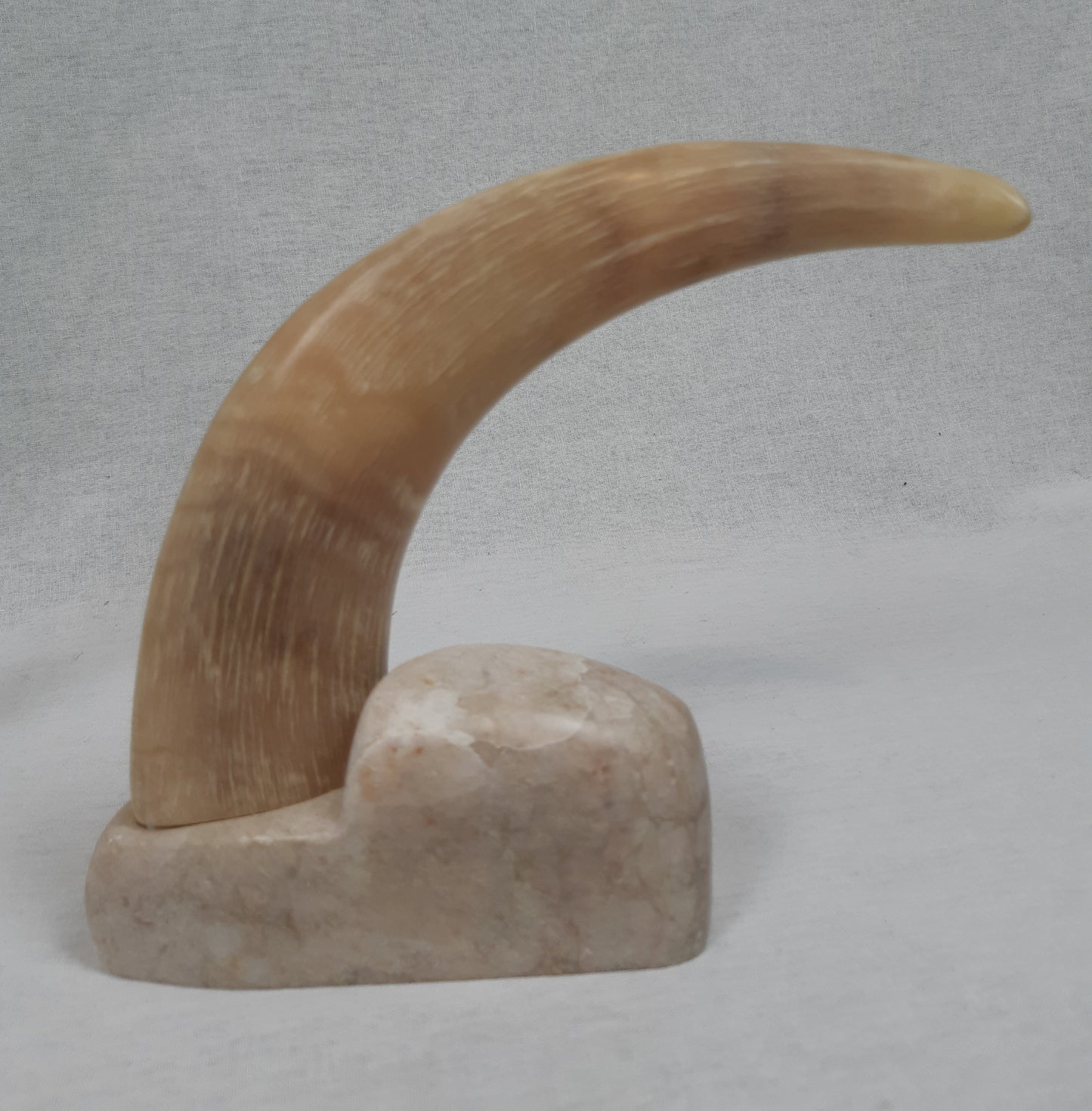Horn
