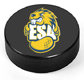 ESA- Hockey puck/Rondelle