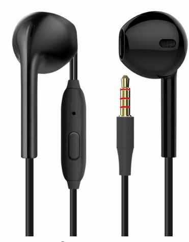 Earphones